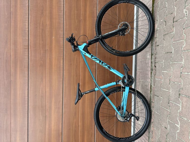 Sava carbon 4.1