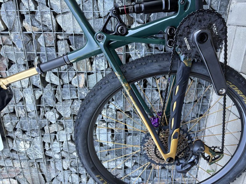 PIVOT Mach 4SL CUSTOM