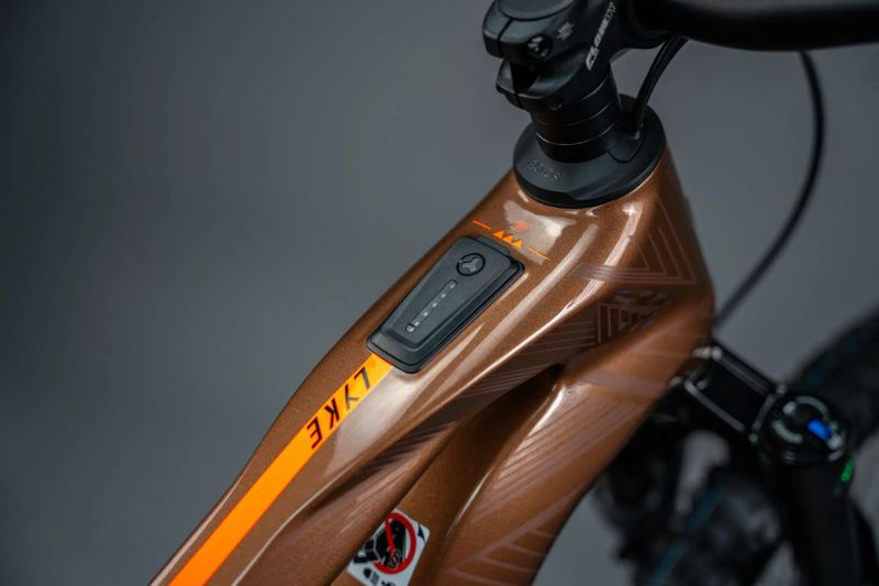 HAIBIKE LYKE CF 10 