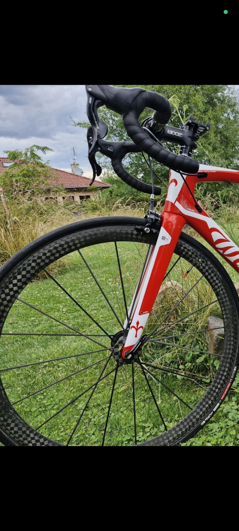 Wilier GTR 