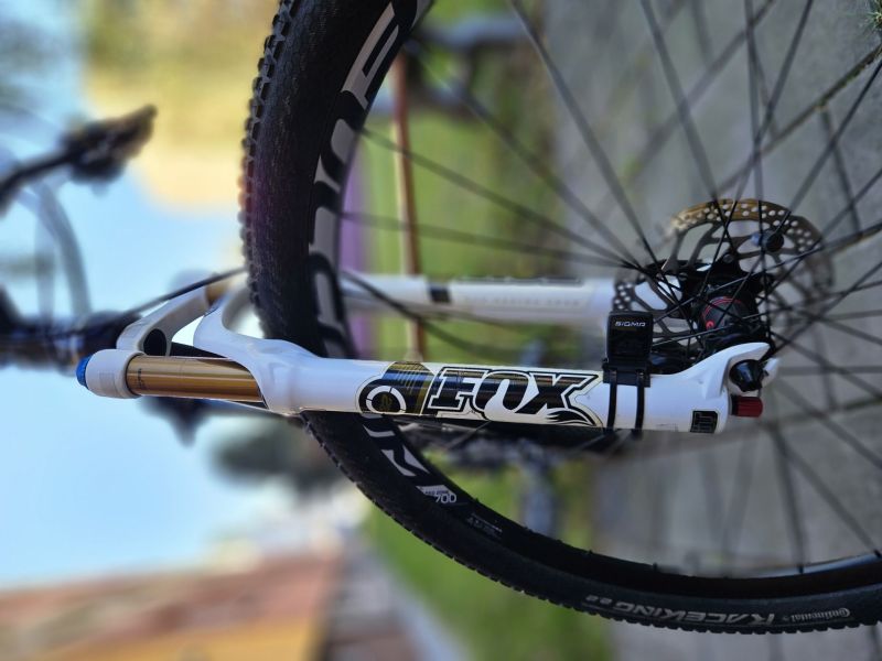 Saint The Bigger 29"