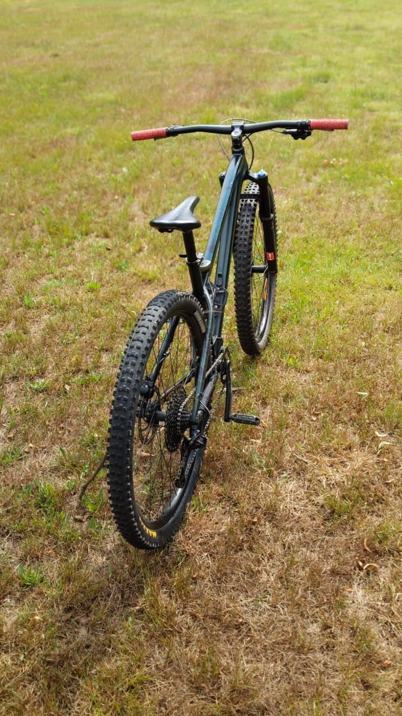 Dartmoor Primal 29” M