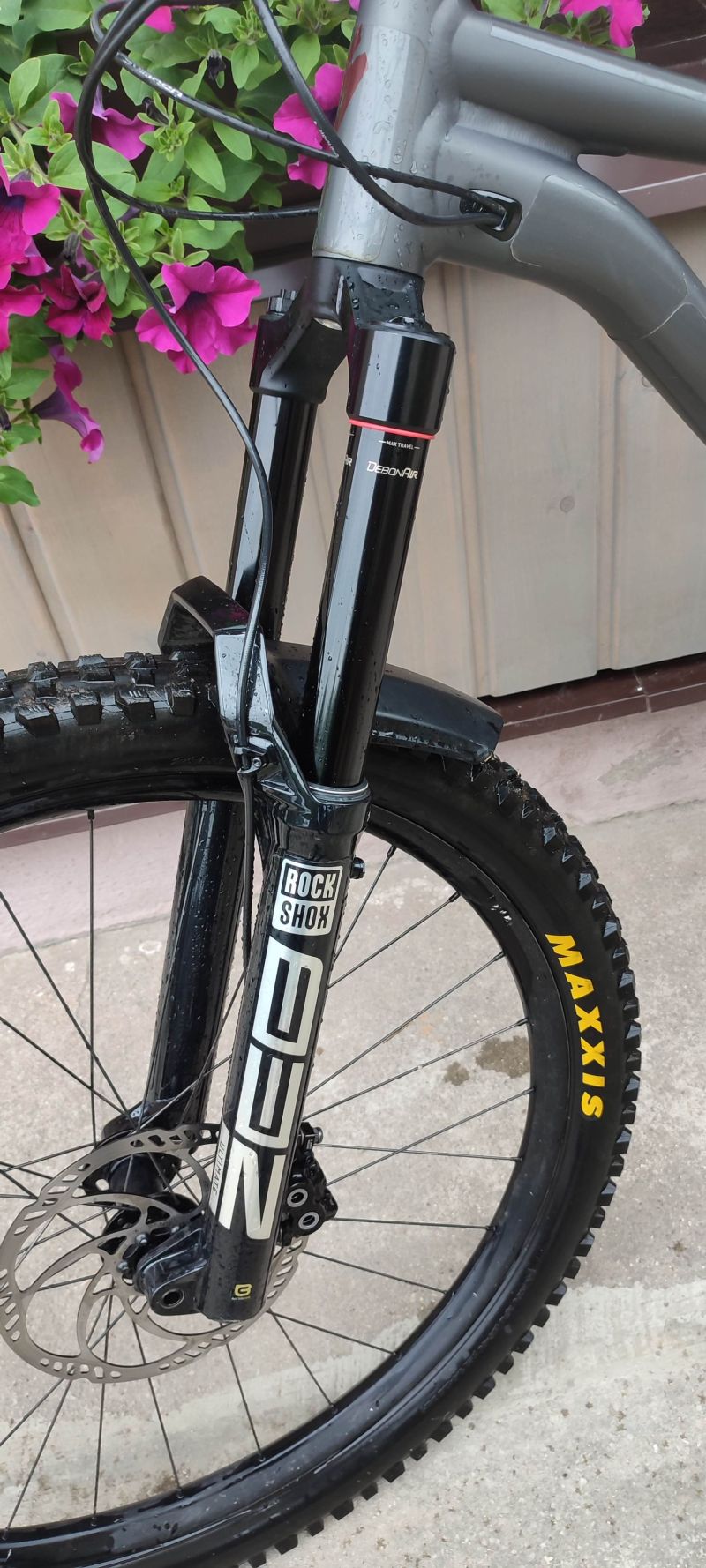 Specialized status S5