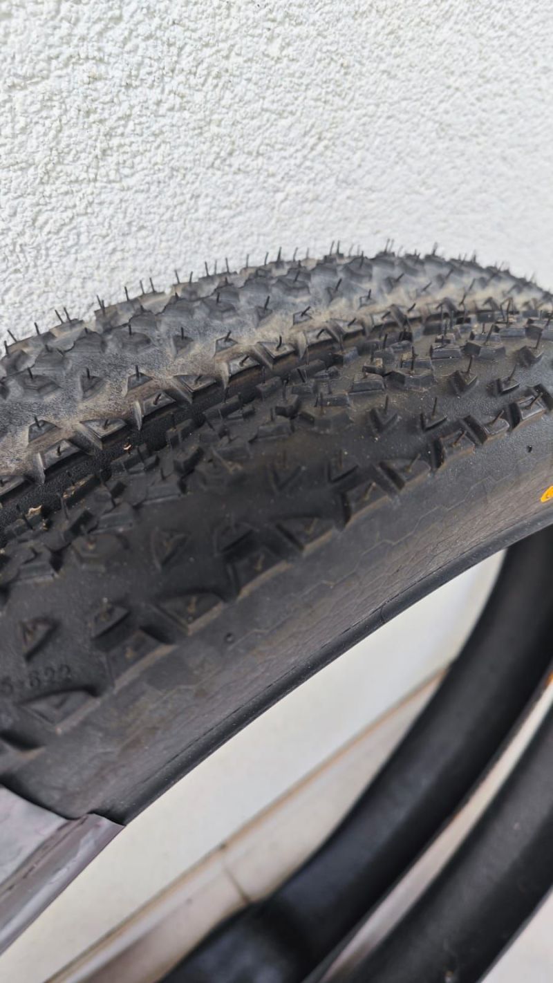 Continental Race King 29x2.2- drat