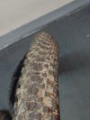 Pláště horske MAXXIS 29"