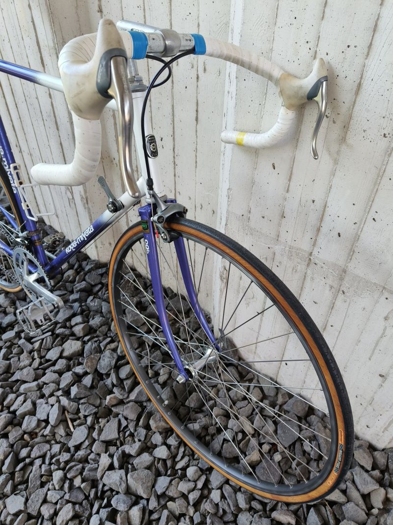 Koga Miyata Prologue