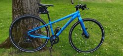Cannondale 