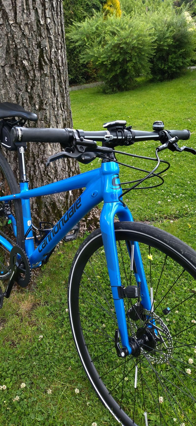 Cannondale 