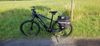 Prodám MTB 4Ever Esword Sport