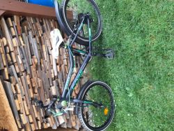 Core nipper vel.20 TOP STAV 