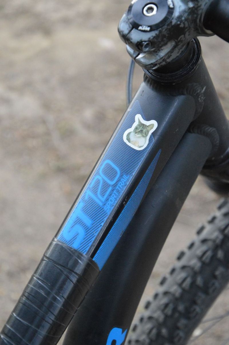 Rock Rider st 120