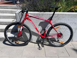 Horské kolo Specialized Rockhopper Comp 29 (2011)