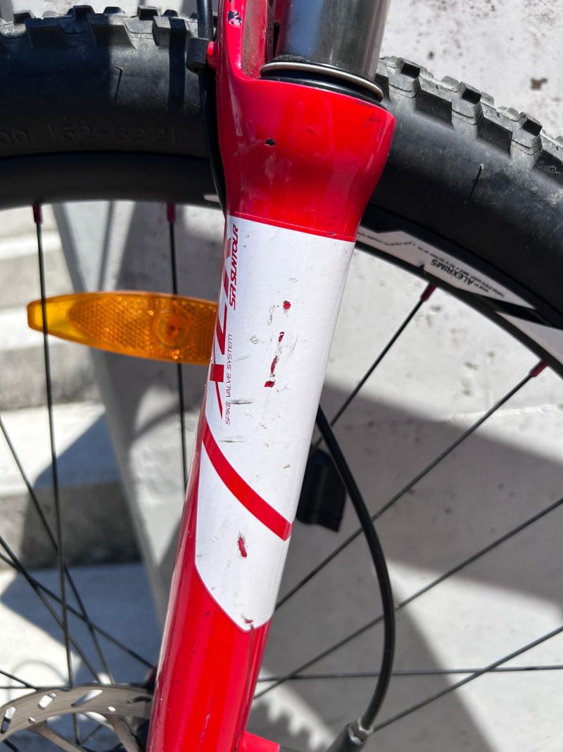 Horské kolo Specialized Rockhopper Comp 29 (2011)