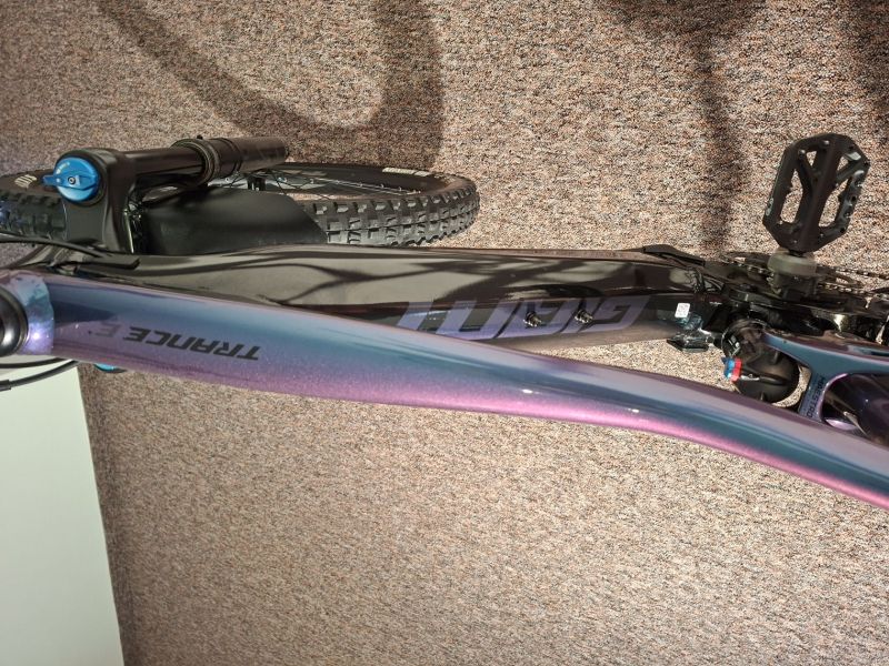 Elektro kolo - GIANT Trance E+ 2 PRO 2020 - L