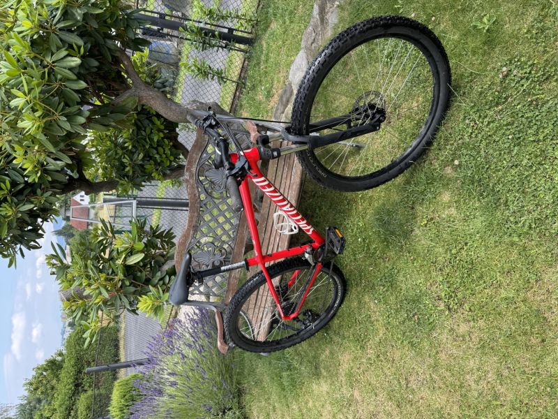 Dámské kolo Specialized 