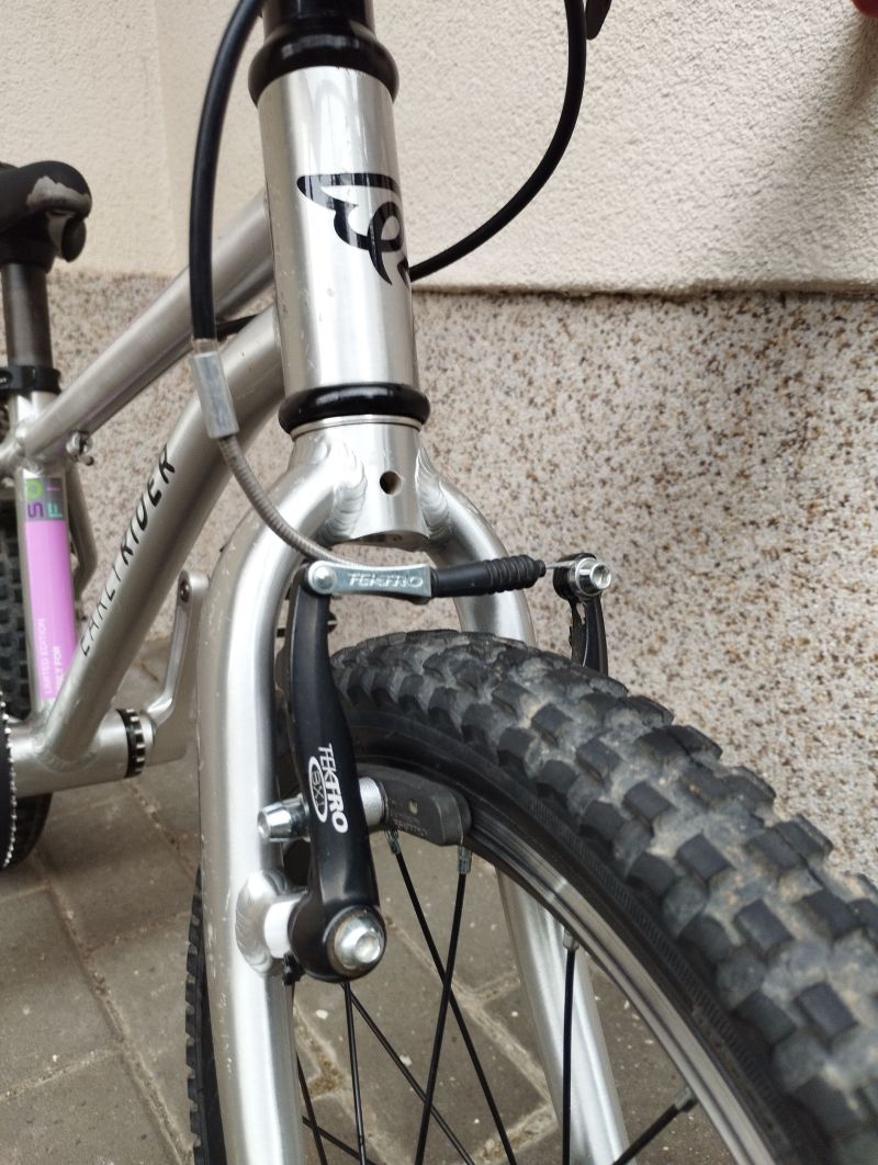 Early Rider Bike 16