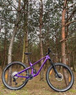 Norco Optic C3