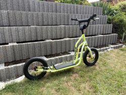 Koloběžka Arcore Rakoon 12" žlutá