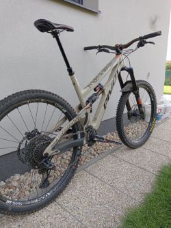 Pivot Firebird