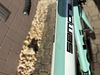 Bianchi Sempre Pro, vel. 59