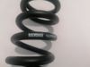 ROCKSHOX Pružina 300 lbs 250 x 75 mm 