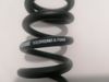 ROCKSHOX Pružina 300 lbs 250 x 75 mm 