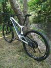 Bold (Scott) Volume 1 29 M