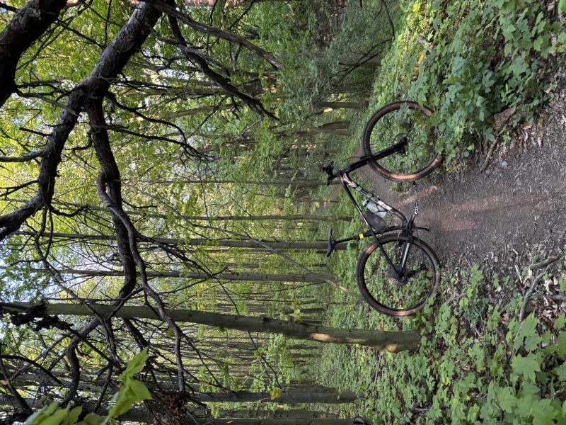 Trek Roscoe M/L s Pike 140mm – univerzální trailový bajk s novým odpružením a brzdami