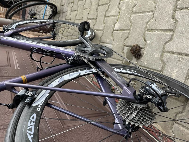 Pardus Robin sl