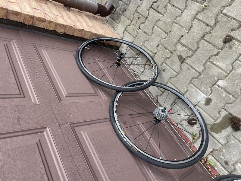 Pardus Robin sl