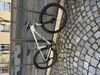 Horské kolo Specialized Rockhopper Comp 29 - vel.M - bezvadný stav