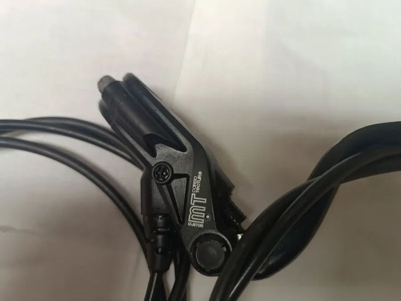 Magura