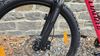 Specialized Rockhopper Comp 29, pink/black, 2019