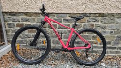 Specialized Rockhopper Comp 29, pink/black, 2019