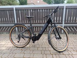 Rock Machine cross ride e 450