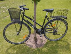 kolo KTM