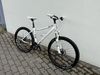 Superior Modo XC 817