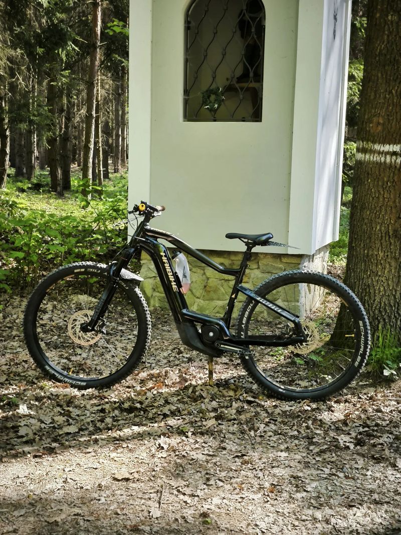 Haibike AllTrack 10 (2022) | vel. rámu L | kola 29" | Bosch Performance CX Smart System (Gen. 4)