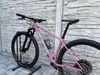 Specialized epic ht 