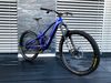 Trek Fuel EXe custom, Hope, AXS