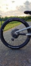 Propain Spindrift 2021