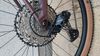 Lux Trail CF 6
