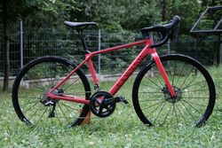 Canyon Ultimate WMN CF SL Disc 8.0 - 2XS