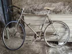 Favorit z 80 let