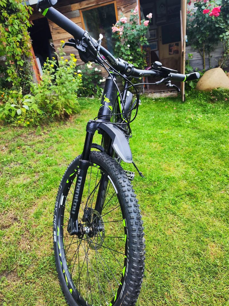 Leader Fox Kent 29", 17,5Ah