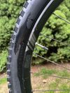 Canyon Spectral CF 7 2020