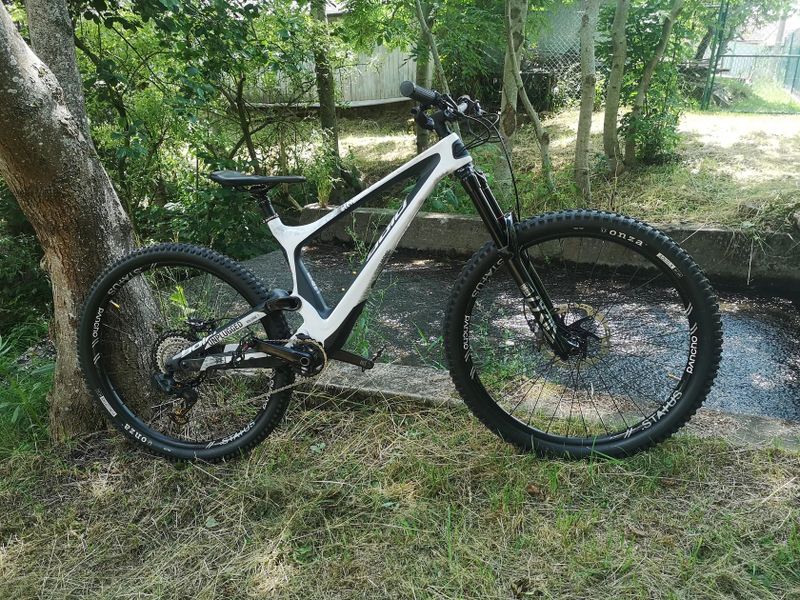 Bold Unplugged V1 