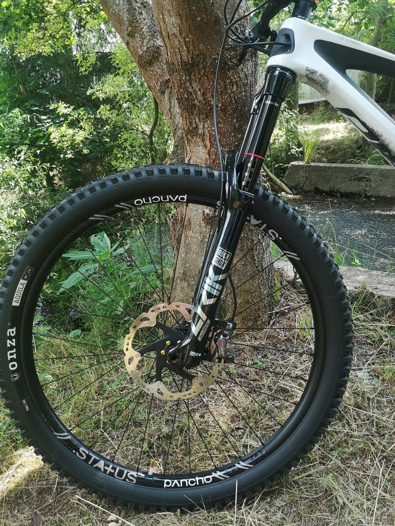 Bold Unplugged V1 