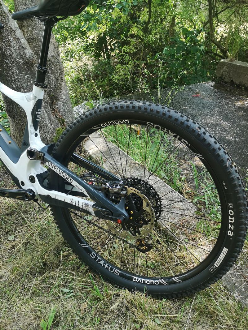 Bold Unplugged V1 