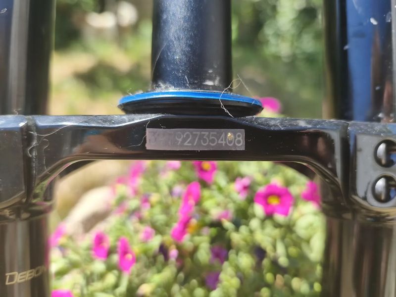 Rockshox boxxer ultimate 29"